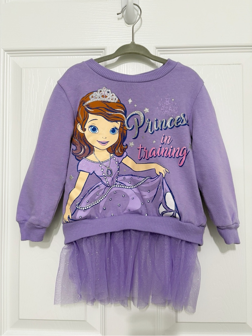 Disney Purple 'Princess in Training' Tulle Hem Sweatshirt